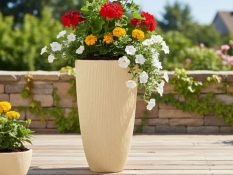 Blumentopf SAMBA L