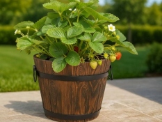 Blumentopf ANTIQUE Ø8