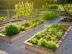 RAISED BEDS FOR GARDEN & GREENHOUSES