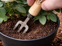 3-tine cultivator MINI