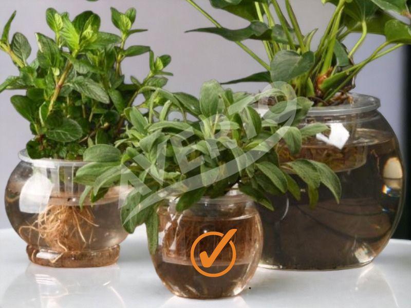 Hydroponisk kruka S