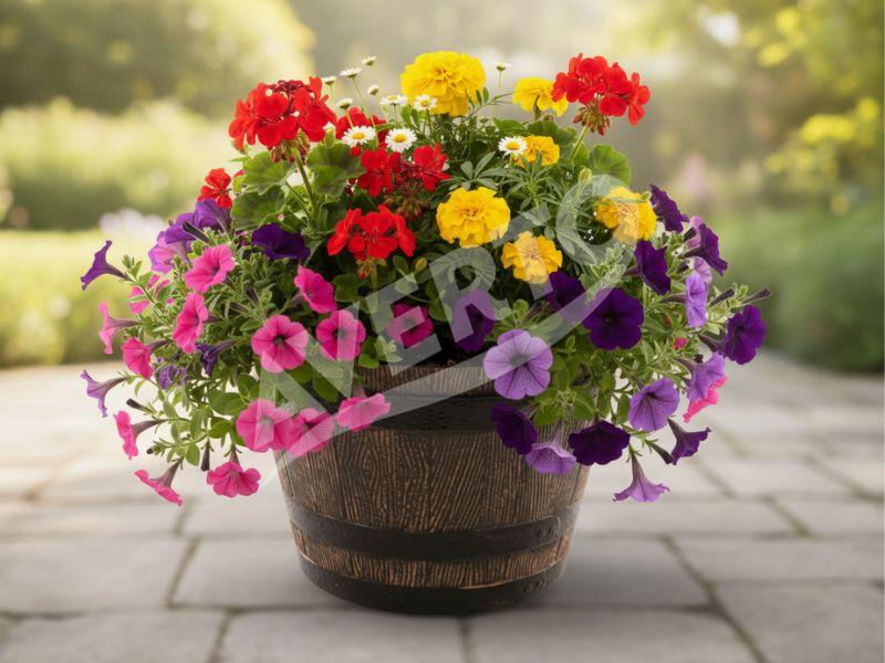 Flower pots MUSISALY