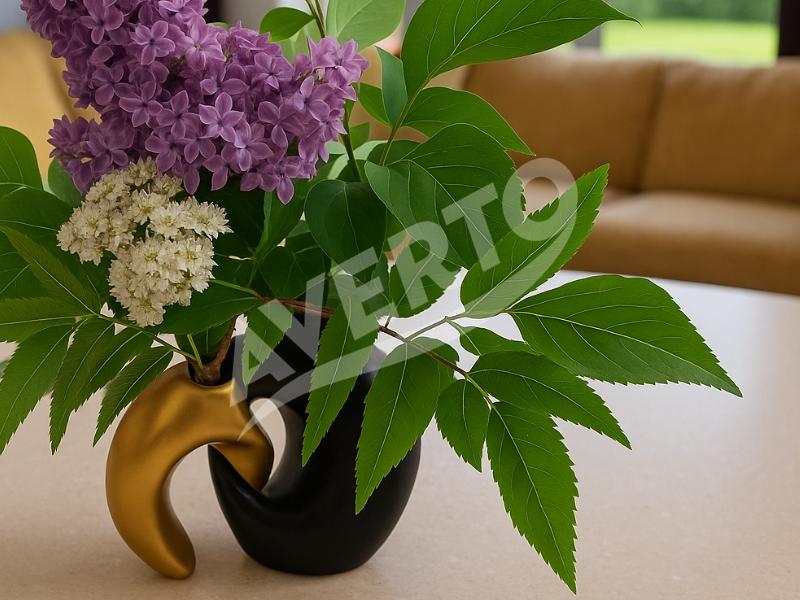 Vaser Black&Gold