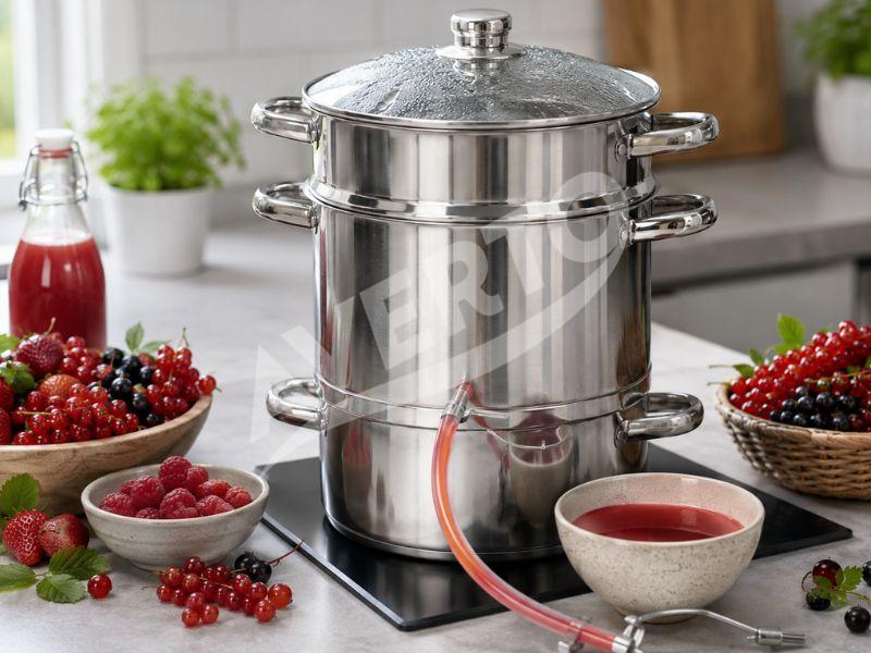 Dampfentsafter 5 l