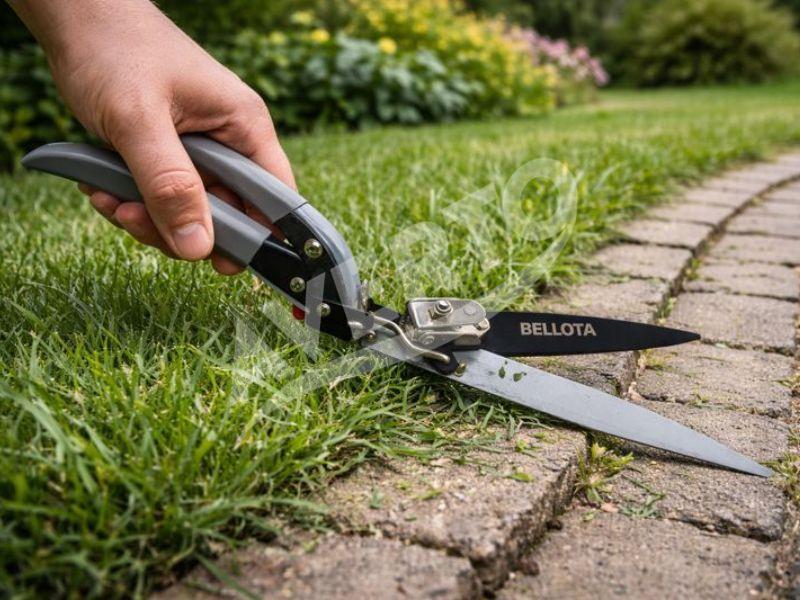 Grässax Smart